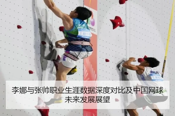 李娜与张帅职业生涯数据深度对比及中国网球未来发展展望（IM SPORTS）